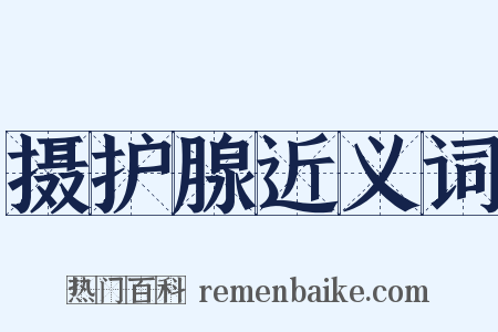 摄护腺近义词是什么意思的图片